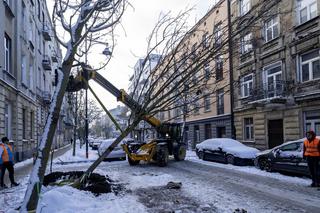 Nowy woonerf i odnowione kamienice. Remont na Mielczarskiego dobiega końca