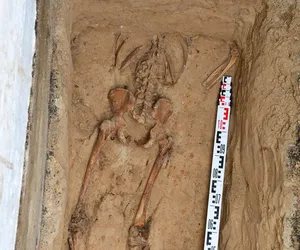 Na cmentarzu znaleziono czaszki, a w czaszkach ślady po kulach. Odkrycie lubelskiego IPN [ZDJĘCIA]