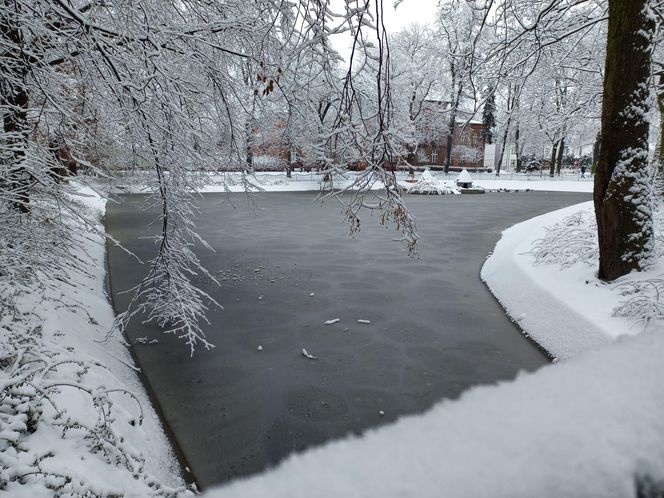 Leszno wygląda bajkowo! Na walentynki sypnęło śniegiem