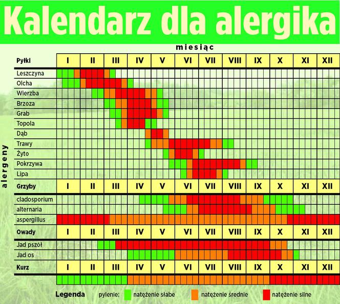 Kalendarz alergika
