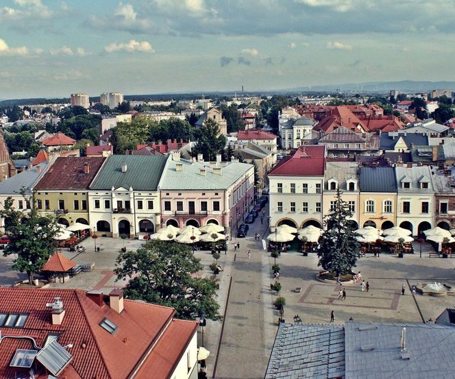 Dochody własne podkarpackich gmin