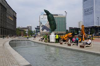 Palmy wróciły na rynek w Katowicach