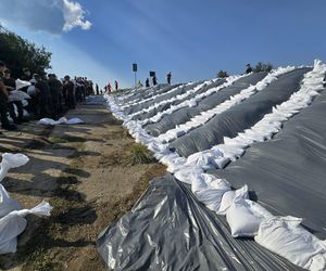 Fala powodziowa we Wrocławiu. Pod wodą są już beach bary i drogi 