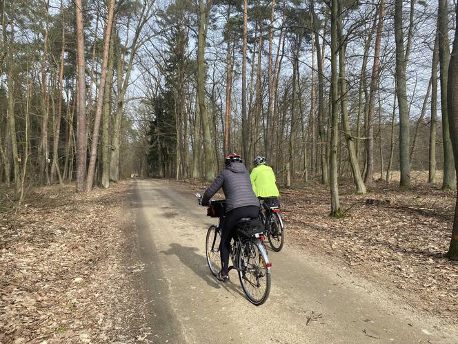 Zmiany w Parku Odrzańskim w Zielonej Górze. Zobacz jak wygląda obecnie