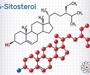 Beta-sitosterol - doping z natury