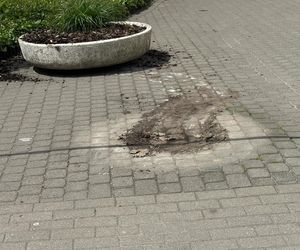 Auto wjechało w budynek sądu w Warszawie. Kierowca z impetem wyłamał szlaban i wjechał na zamknięty teren