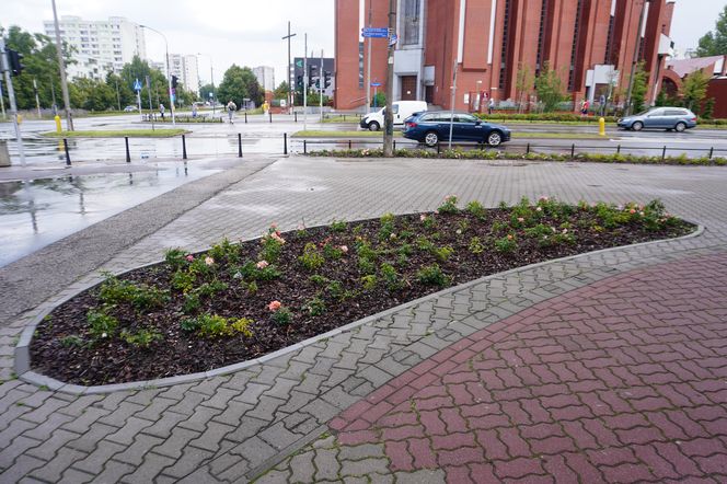 Kontrowersyjny skwerek na Ursynowie latem 2025