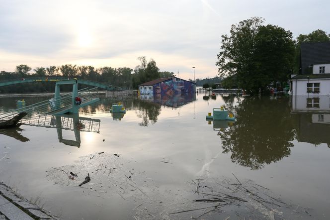 Nowa Sól - stan Odry na 23 września