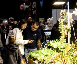 Targi egzotyki w Katowicach