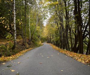 Małopolska wieś, która zachwyciła filmowców. Jesienią można poczuć się jak na planie