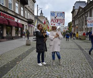 Wielki marsz adopciaków w Radomiu