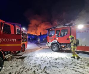 Pożar kurnika połączonego z budynkiem mieszkalnym pod Gorzowem