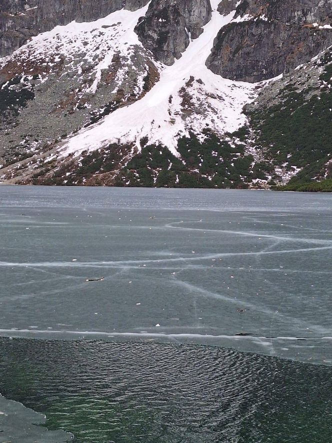 Morskie Oko zaśmiecone jak nigdy. To sprawka turystów. TPN opublikował zdjęcia.
