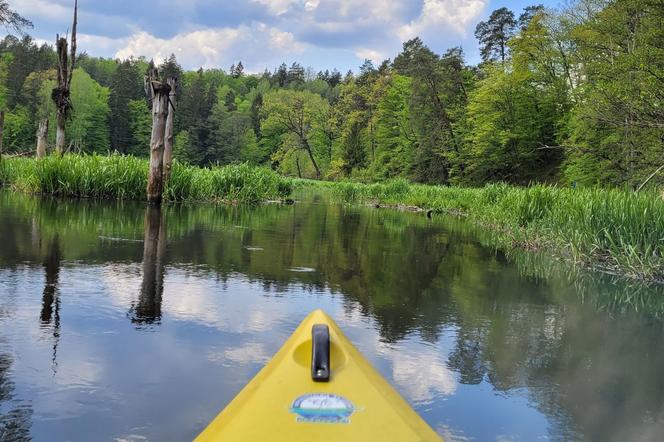 Kajakiem przez Warmię i Mazury. Te trasy są najbardziej malownicze