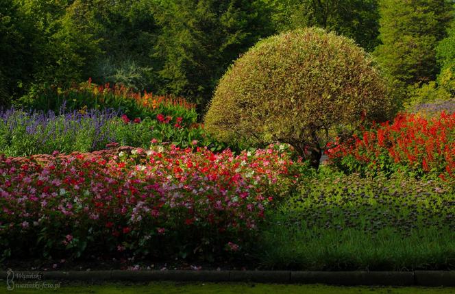 Miejski Ogród Botaniczny w Zabrzu