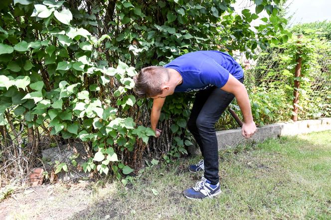 Złapałem boa dopadnę też pytona