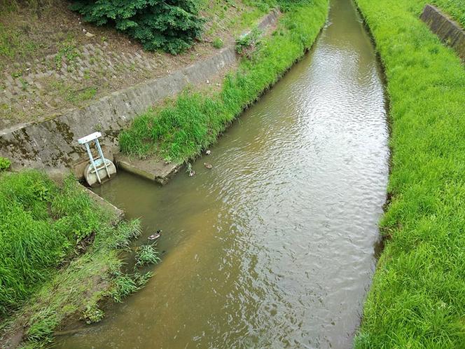 Sytuacja hydrologiczna w Tarnowie. Czy grozi nam powódź?