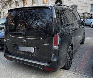 Ibisz powiększa rodzinę