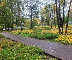 To najpiękniejszy park miejski w Olsztynie według AI. Zajmuje niemal 13 hektarów!