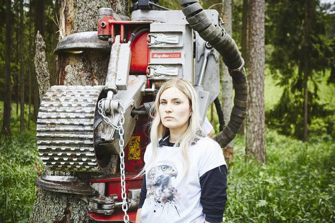 Greenpeace Polska blokuje wycinkę drzew
