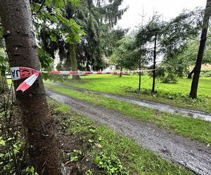 Zabójstwo pod Iławą. Nie żyje małżeństwo. Policja zatrzymała syna ofiar