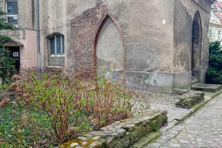 Pozostałości kościoła Mariackiego na Starym Mieście