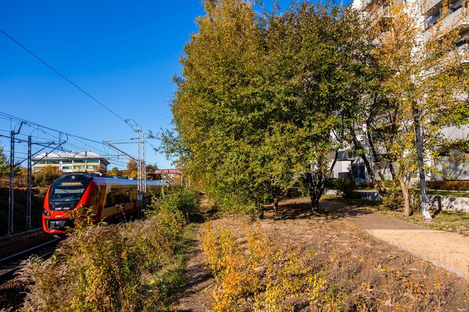 Park linearny na Służewcu w Warszawie pod koniec budowy