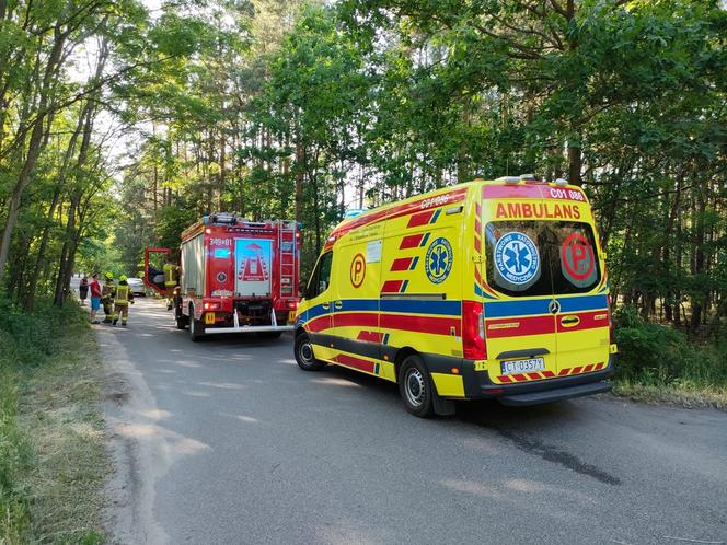 Wypadek pod Toruniem. Zakrwawiony kierowca wjechał autem w las