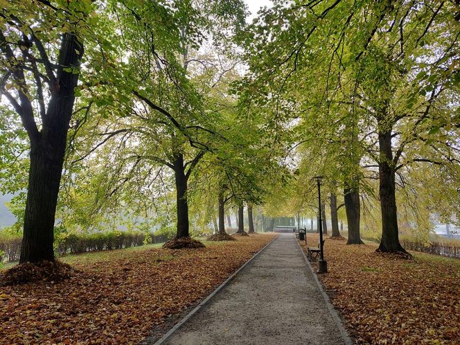 Zamojski Park jesienią