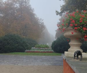 Zamojski Park jesienią