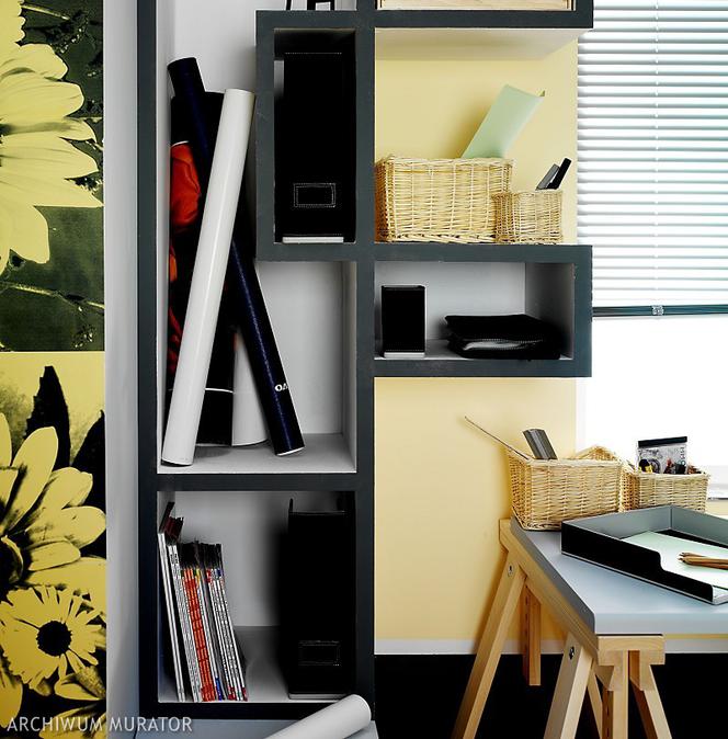 Wokół biurka: półki na książki i dokumenty