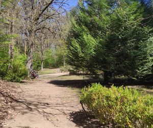 Arboretum w Kopnej Górze. Puszcza w pigułce