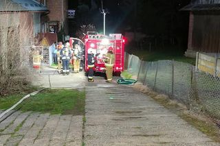 Iwo uratował rodzinę z pożaru.