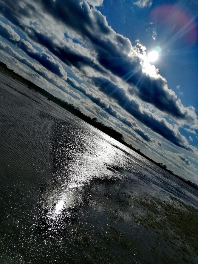 Światowy Dzień Fotografii. Z tych fotek są dumni nasi Czytelnicy! ZOBACZ