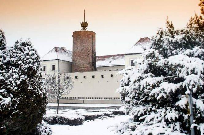 Źródło: Muzeum Archeologiczno-Historyczne w Głogowie.
Podziel się: