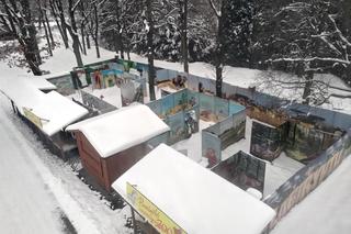 Nad Zoo w Chorzowie kursuje nowa Elka - fotki z pierwszego przejazdu nowej linii kolejki w Parku Śląskim