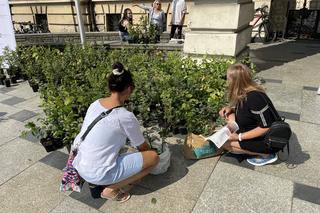 Młodzieżowa Rada Miasta rozdała sadzonki drzew