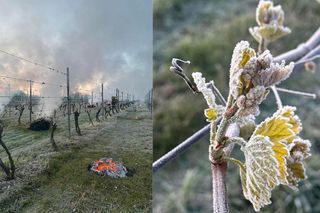 Ogniska, znicze i śmigłowiec w akcji. Tak winnice walczyły z mrozem. „Straty są ogromne”