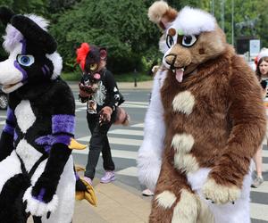 Marsz futrzaków w Lublinie. Tak wyglądał I Lubelski Fursuitwalk