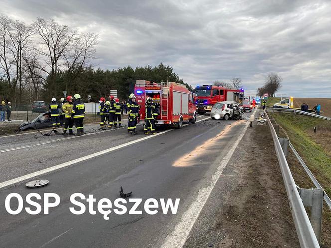 Makabryczny wypadek w Rosnówku