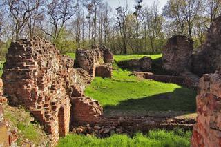 Ruiny zamku w Raciążku