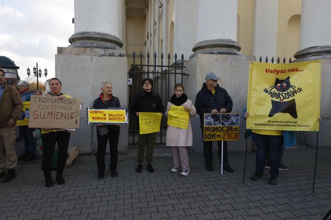 Wielki protest przez ratuszem. Wolontariusze walczą o życie kotów