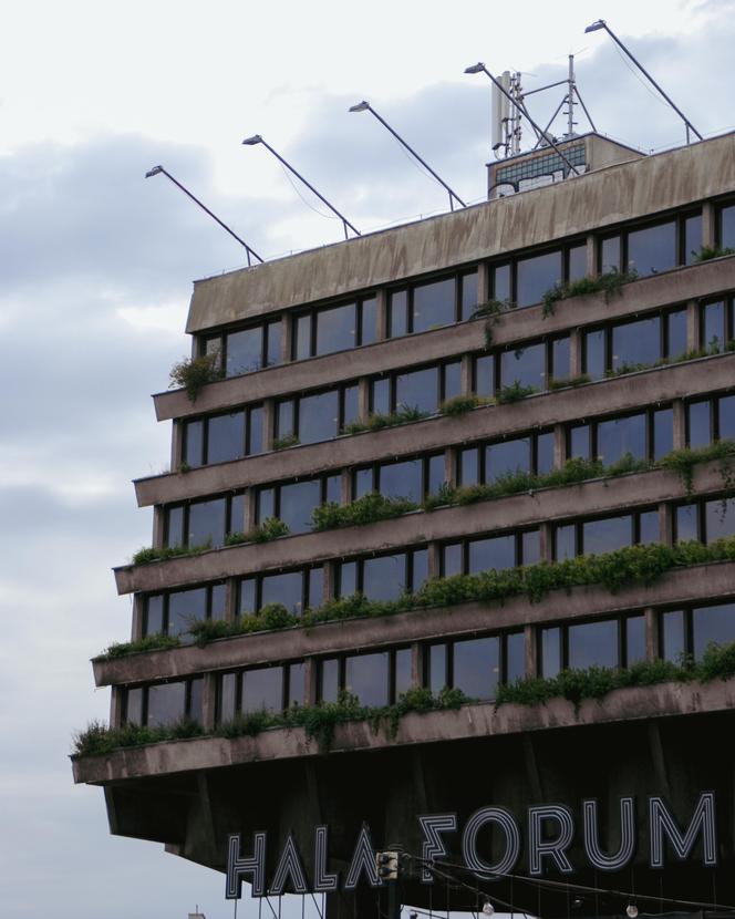 Hotel Forum w Krakowie - zdjęcia. Co czeka słynny brutalistyczny hotel?