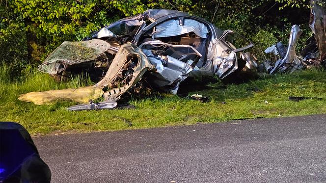 Śmiertelny wypadek pod Gostyniem. Opel i peugeot 18-latków roztrzaskały się o drzewo [ZDJĘCIA]