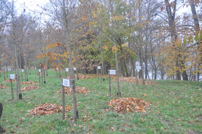 Jesień na Osiedlu Świętokrzyskim i Szydłówku w Kielcach