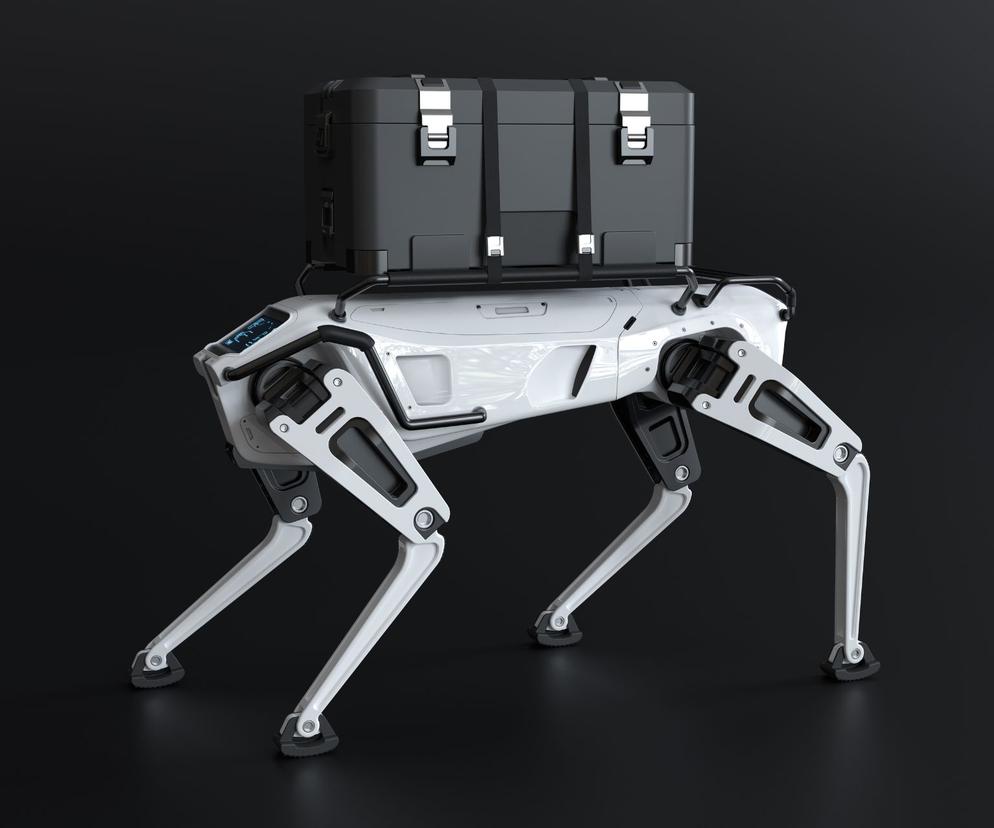 Pies-robot będzie promował Zachodniopomorski Uniwersytet Technologiczny podczas dni otwartych drzwi