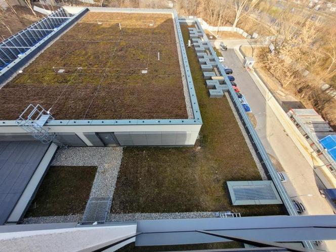 Zielony dach szpitala w Lublinie