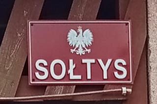  Pies sołtysa trzymany w dramatycznych warunkach. Rany na całym ciele, w brudnych garach nic [ZDJĘCIA]
