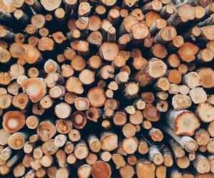 Ceny drewna opałowego. Ile zapłacimy za metr sześcienny w 2023 roku?
