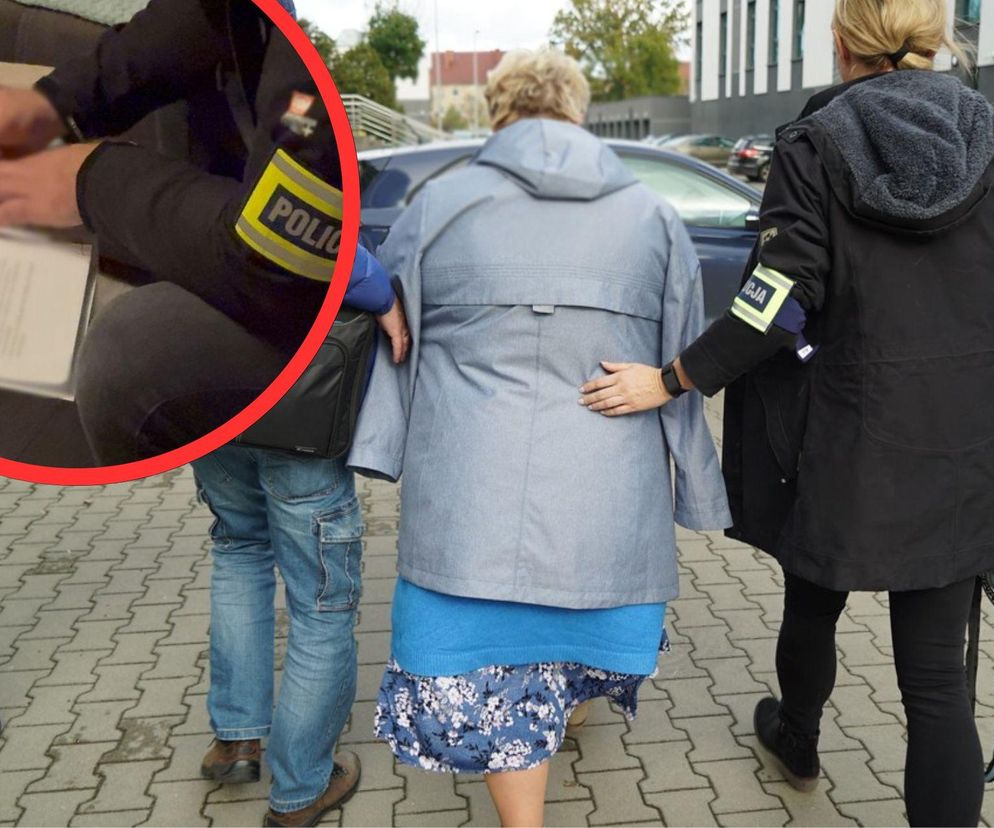 Wielka akcja policji w 10 województwach. Dyrektorki szkół miały wyłudzić miliony na edukację